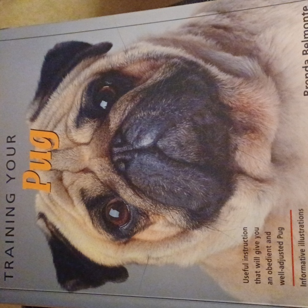 Dog Book. Training Your Pug.